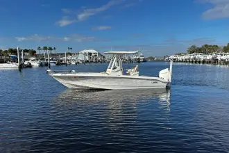 Thumbnail von Boston Whaler 250 Dauntless