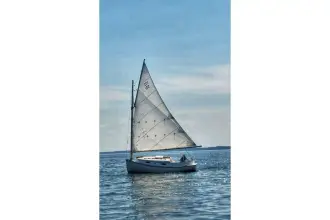 Thumbnail von Sea Ray L550 Fly