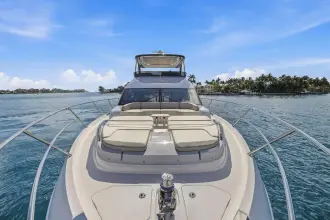 Thumbnail von Prenses F65