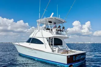 Thumbnail von Viking 48 Convertible LOLLIPOP