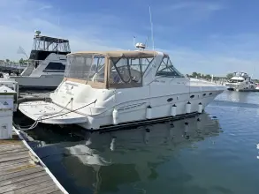 Sea Ray 460 Sundancer