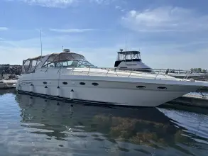 Thumbnail von Sea Ray 460 Sundancer