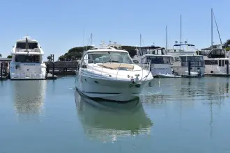 Thumbnail von Sea Ray 48 Sundancer
