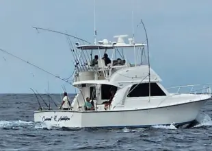 Henriques 42 Sportfisherman Aktuelle Ergänzung