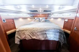 Thumbnail von Meridian 490 Pilothouse Abenteuer erwarten Sie