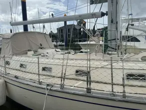 Thumbnail von Island Packet 44 Pelicano