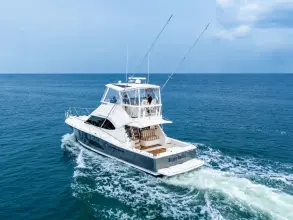 Thumbnail von Riviera 43 Open Flybridge Happy Ending II