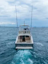 Thumbnail von Riviera 43 Open Flybridge Happy Ending II
