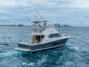 Thumbnail von Riviera 43 Open Flybridge Happy Ending II