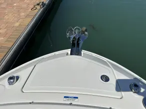 Thumbnail von Sea Ray SLX 310 Außenborder