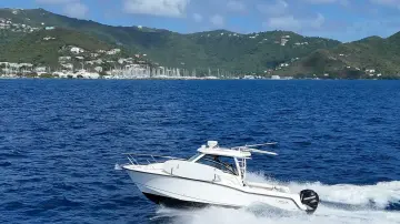 Boston Whaler 315 Conquest Whaler