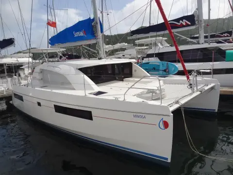 Leopard 40 Mimosa