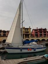 Thumbnail von Hallberg Rassy 352