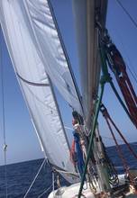 Thumbnail von Island Packet 380