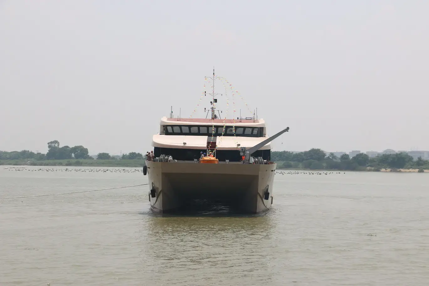 Thumbnail von Acury Cat 50