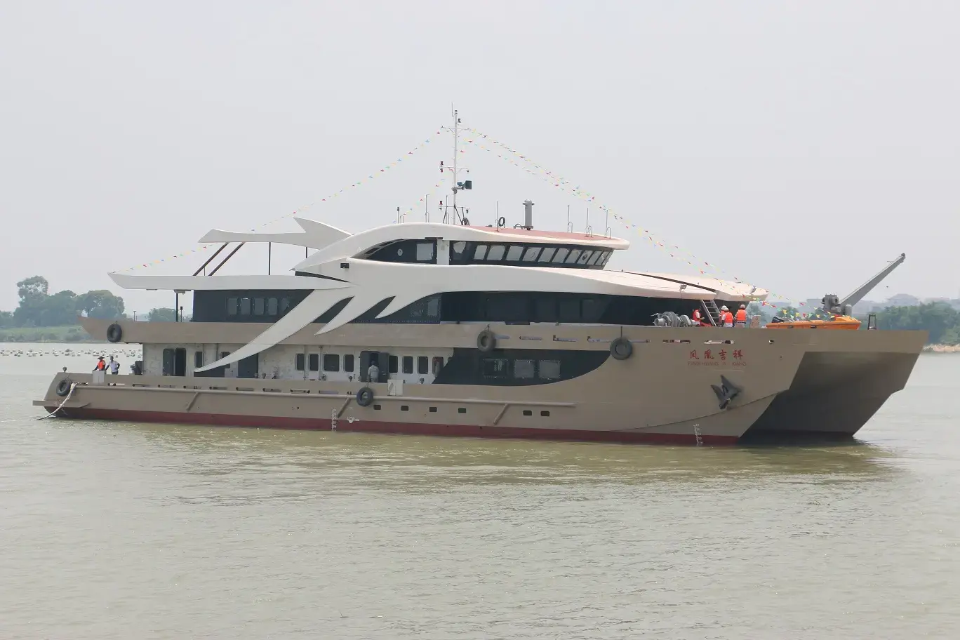 Thumbnail von Acury Cat 50