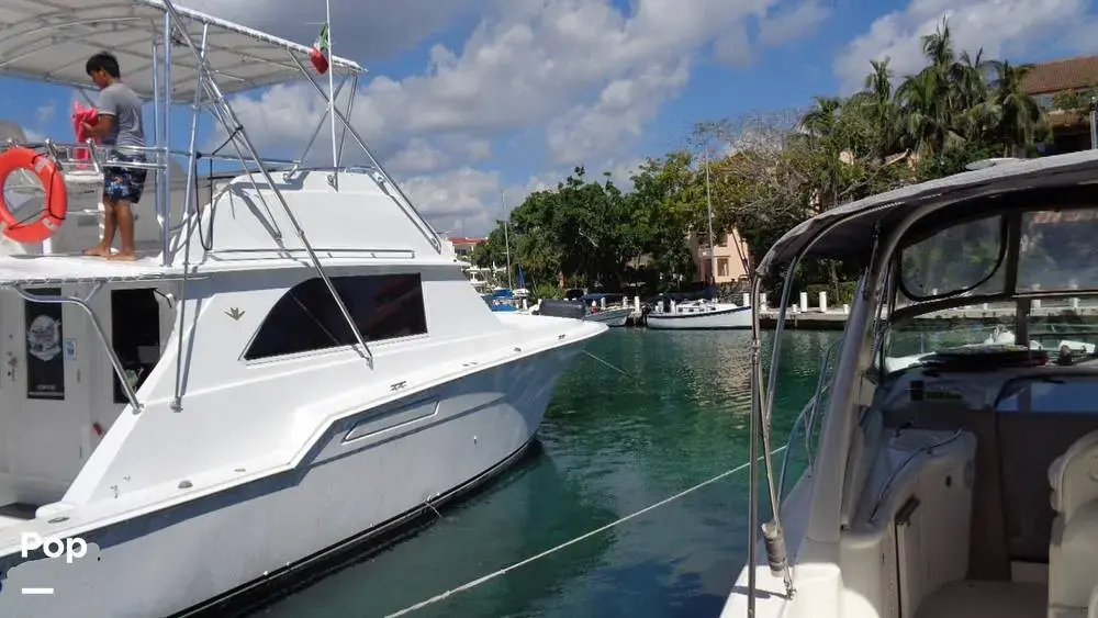 Thumbnail von Bertram 46 Convertible