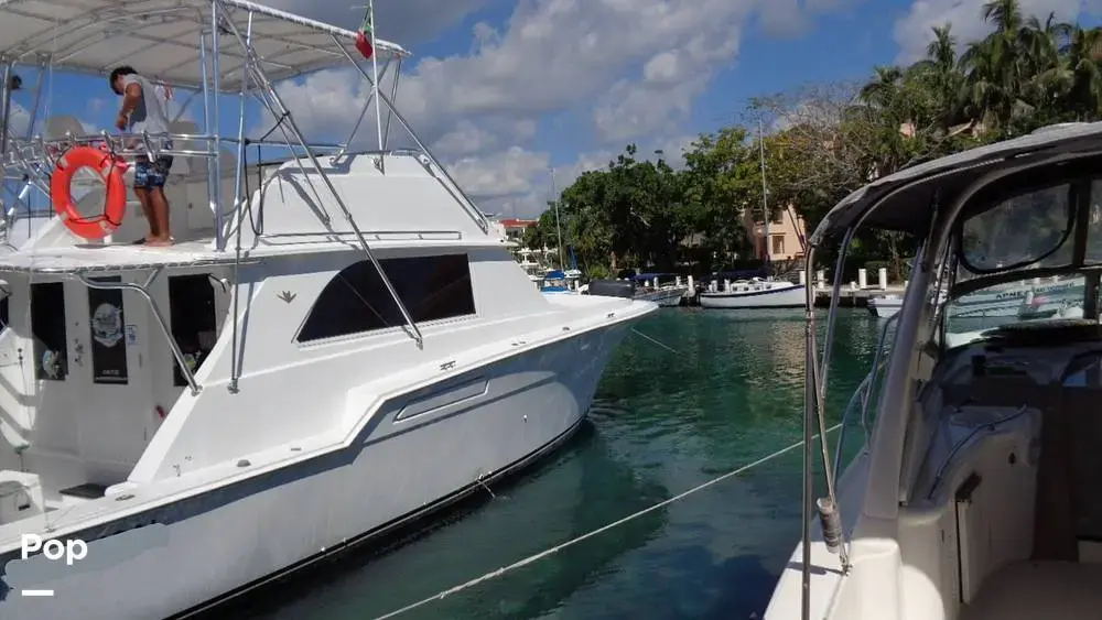 Thumbnail von Bertram 46 Convertible