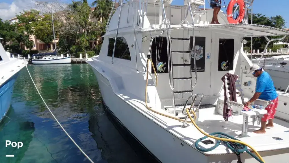 Thumbnail von Bertram 46 Convertible