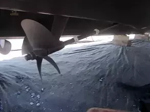 Thumbnail von Azimut 46