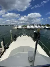 Thumbnail von Hatteras 42 Convertible