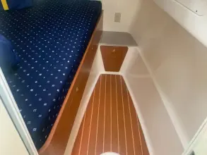 Thumbnail von World Cat 320 EC