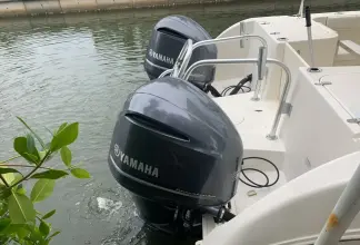 Thumbnail von World Cat 320 EC