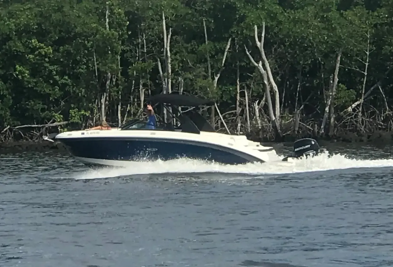 Sea Ray SDX 270 Outboard Make It A Habit