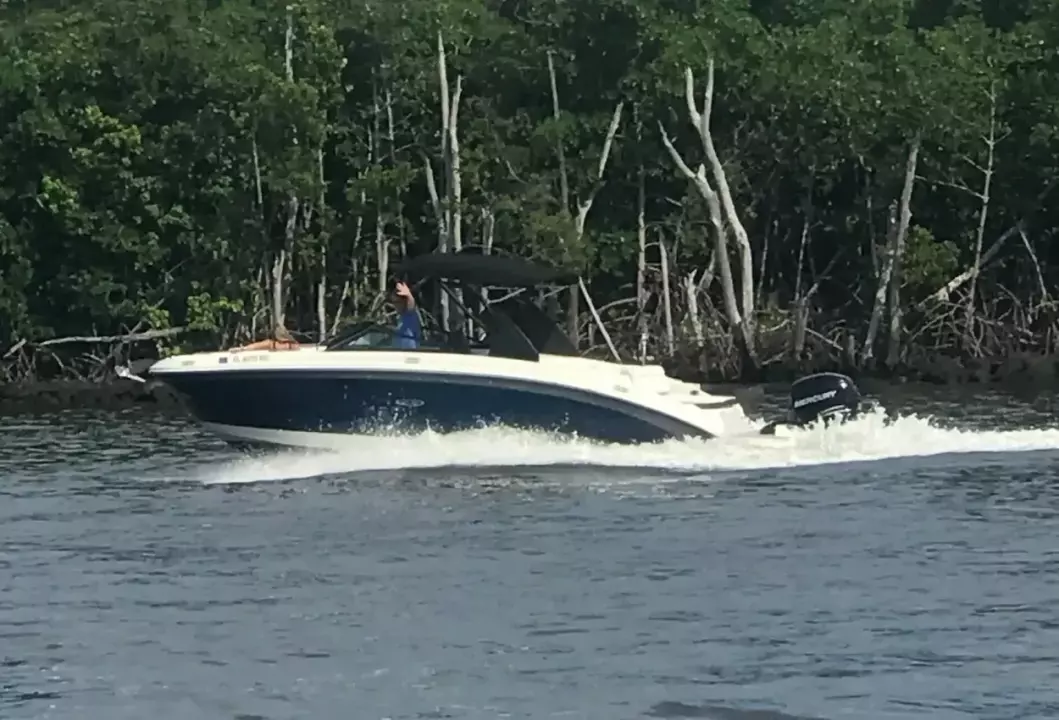 Sea Ray SDX 270 Outboard Make It A Habit