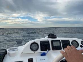 Thumbnail von Sealine (GB) Sealine 410 Statesman