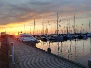 Thumbnail von Fairline (GB) Fairline Squadron 65