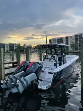 Thumbnail von Blackfin 272 CC