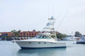 Thumbnail von Tiara Yachts 3600 Open CELTIC PRIDE