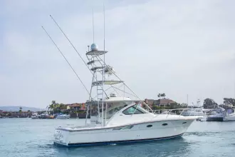 Thumbnail von Tiara Yachts 3600 Open CELTIC PRIDE