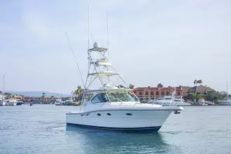 Thumbnail von Tiara Yachts 3600 Open CELTIC PRIDE