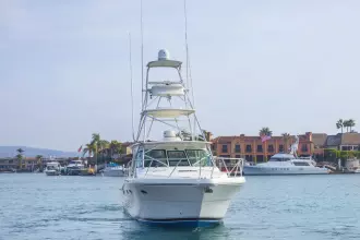 Thumbnail von Tiara Yachts 3600 Open CELTIC PRIDE