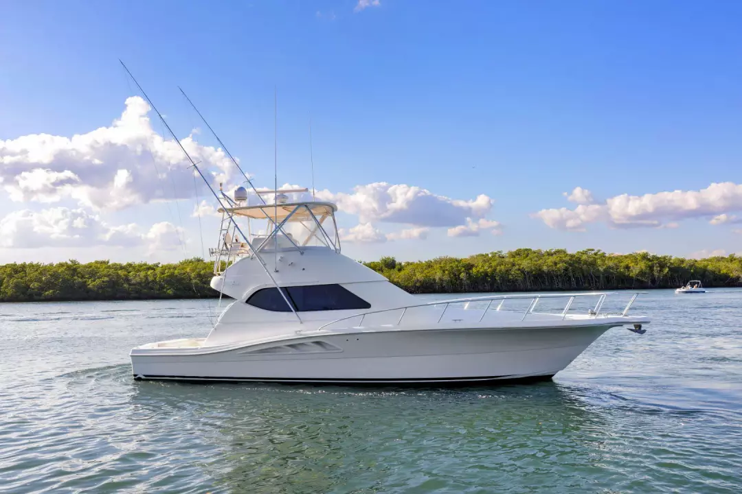 Rampage 45 2 Dream 4