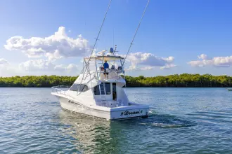 Thumbnail von Rampage 45 2 Dream 4