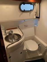 Thumbnail von Nimbus (SE) Nimbus 35 Nova Coupé