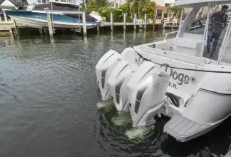 Thumbnail von Cesur 438 Evolution Salty Dog