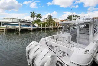 Thumbnail von Cesur 438 Evolution Salty Dog