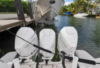 Thumbnail von Cesur 438 Evolution Salty Dog