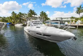 Thumbnail von Cesur 438 Evolution Salty Dog