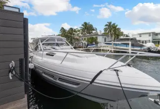 Thumbnail von Cesur 438 Evolution Salty Dog