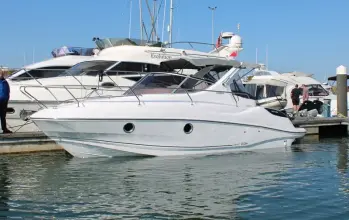 Salpa Laver 23XL