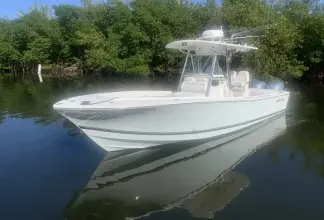 Regulator 26 FS