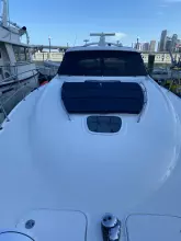 Thumbnail von Sea Ray 48 Sundancer Born To Be Wild