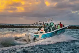 Thumbnail von Blackfin 332 CC Floss'd at Sea