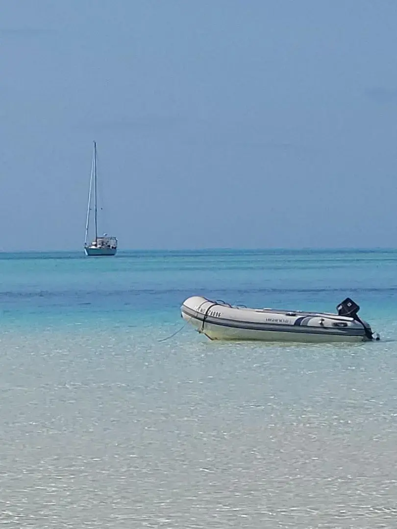 Thumbnail von Stevens 	47