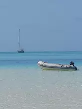 Thumbnail von Stevens 	47